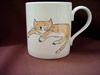 ginger cat